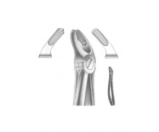 Relax Extracting Forceps
